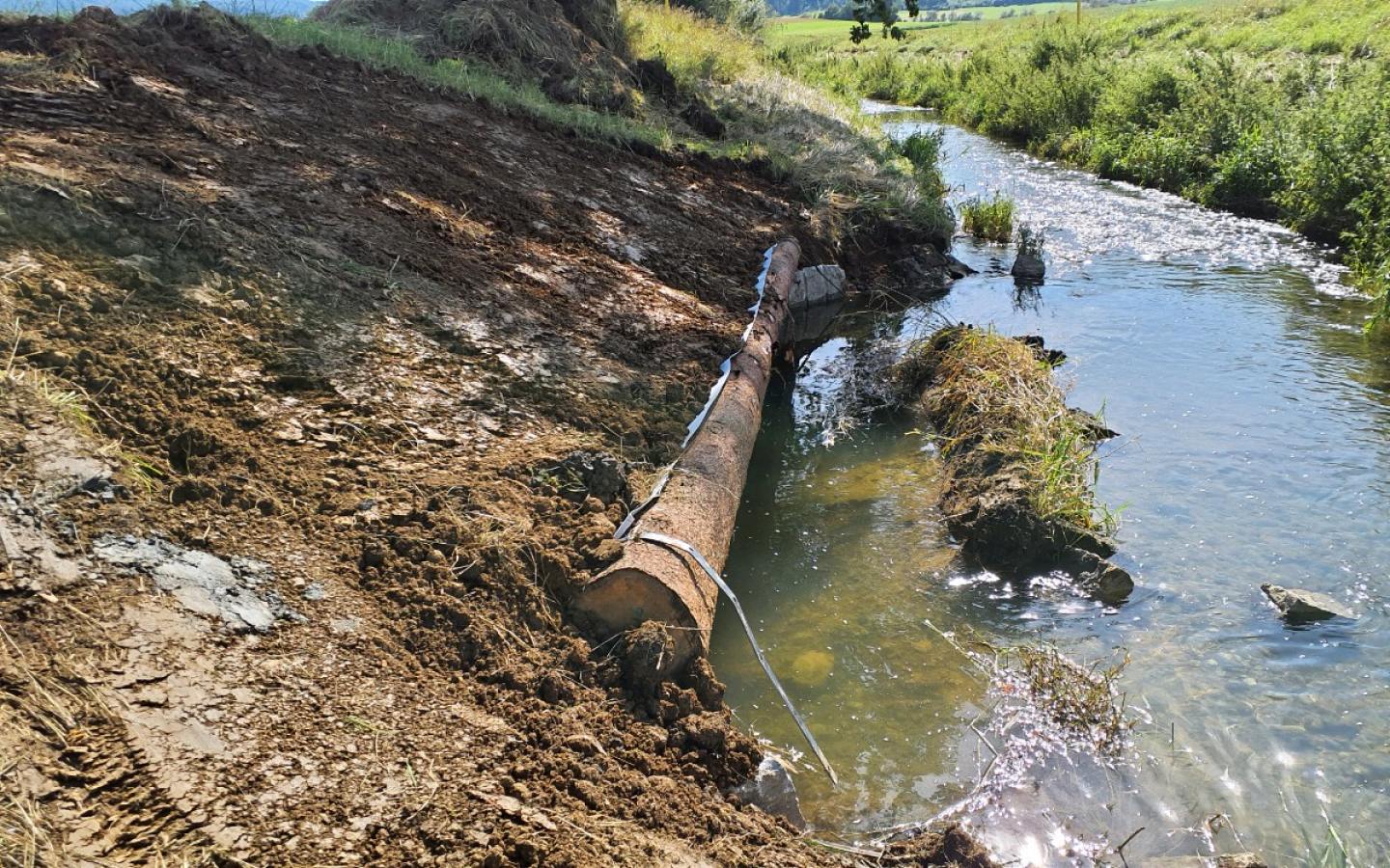 Regierungspräsidium und NABU bauen Klingengraben bei Erzingen (Klettgau, Kreis Waldshut) weiter ökologisch um